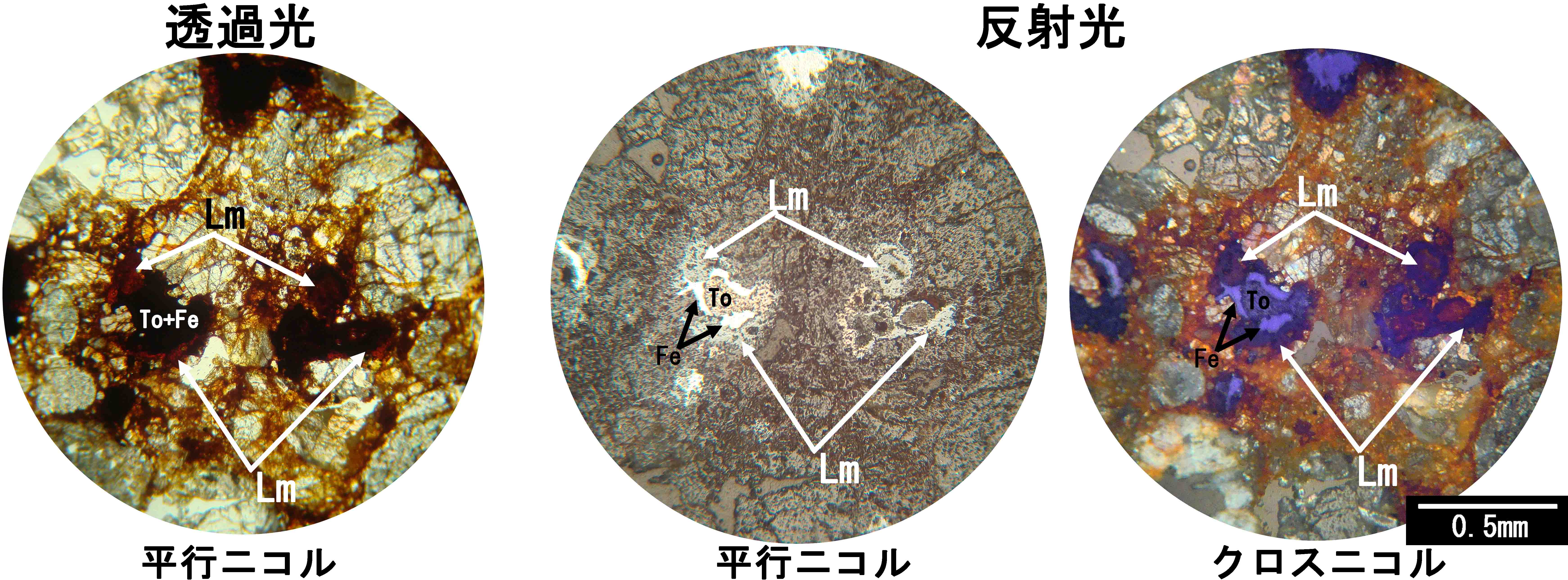 褐鉄鉱 limonite